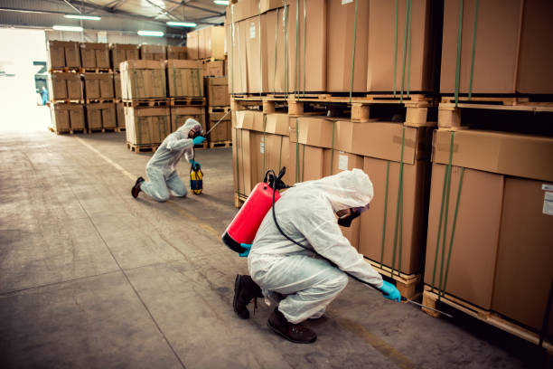 Best Affordable Pest Control Services  in Shelburne Falls, MA