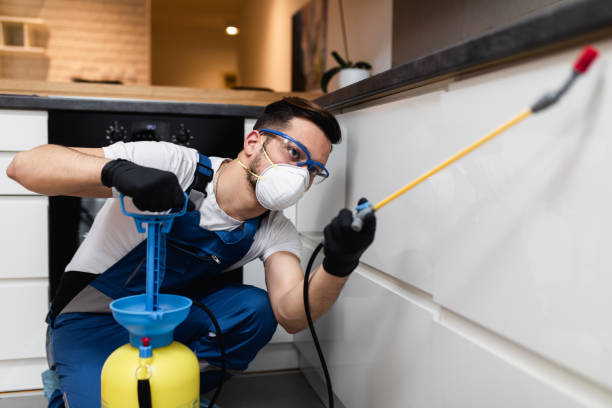 Best Residential Pest Control  in Shelburne Falls, MA