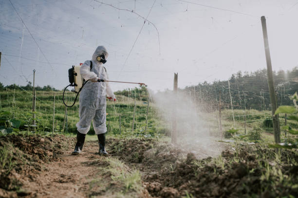Best Commercial Pest Control Services  in Shelburne Falls, MA
