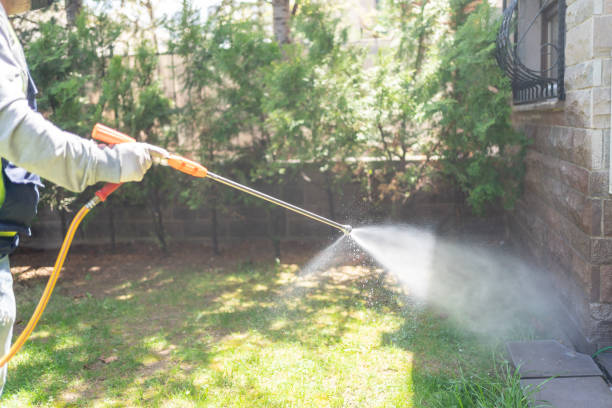 Best Affordable Pest Control Services  in Shelburne Falls, MA