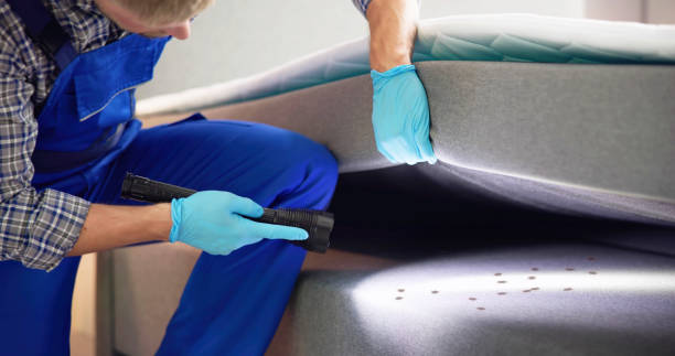 Best Pest Removal Services  in Shelburne Falls, MA
