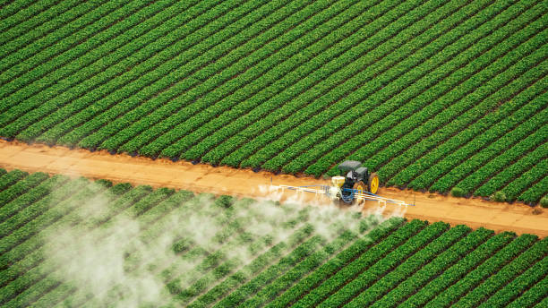 Best Mosquito Control Services  in Shelburne Falls, MA